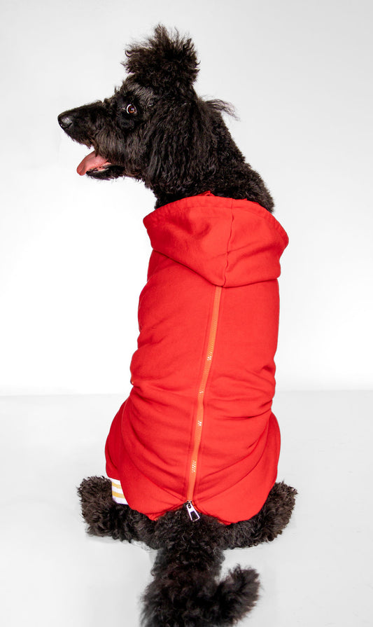 Customized Dog Hoodie