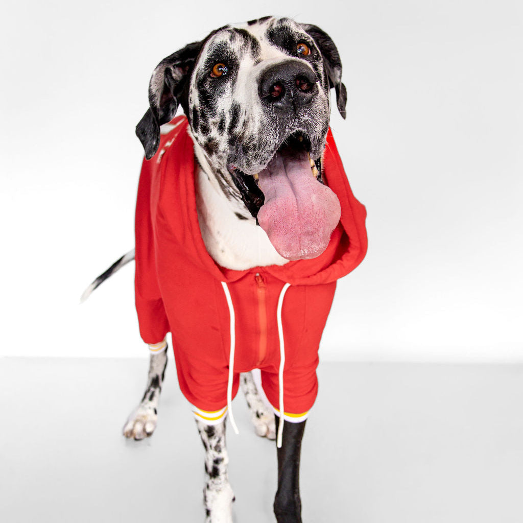 Customized Dog Hoodie