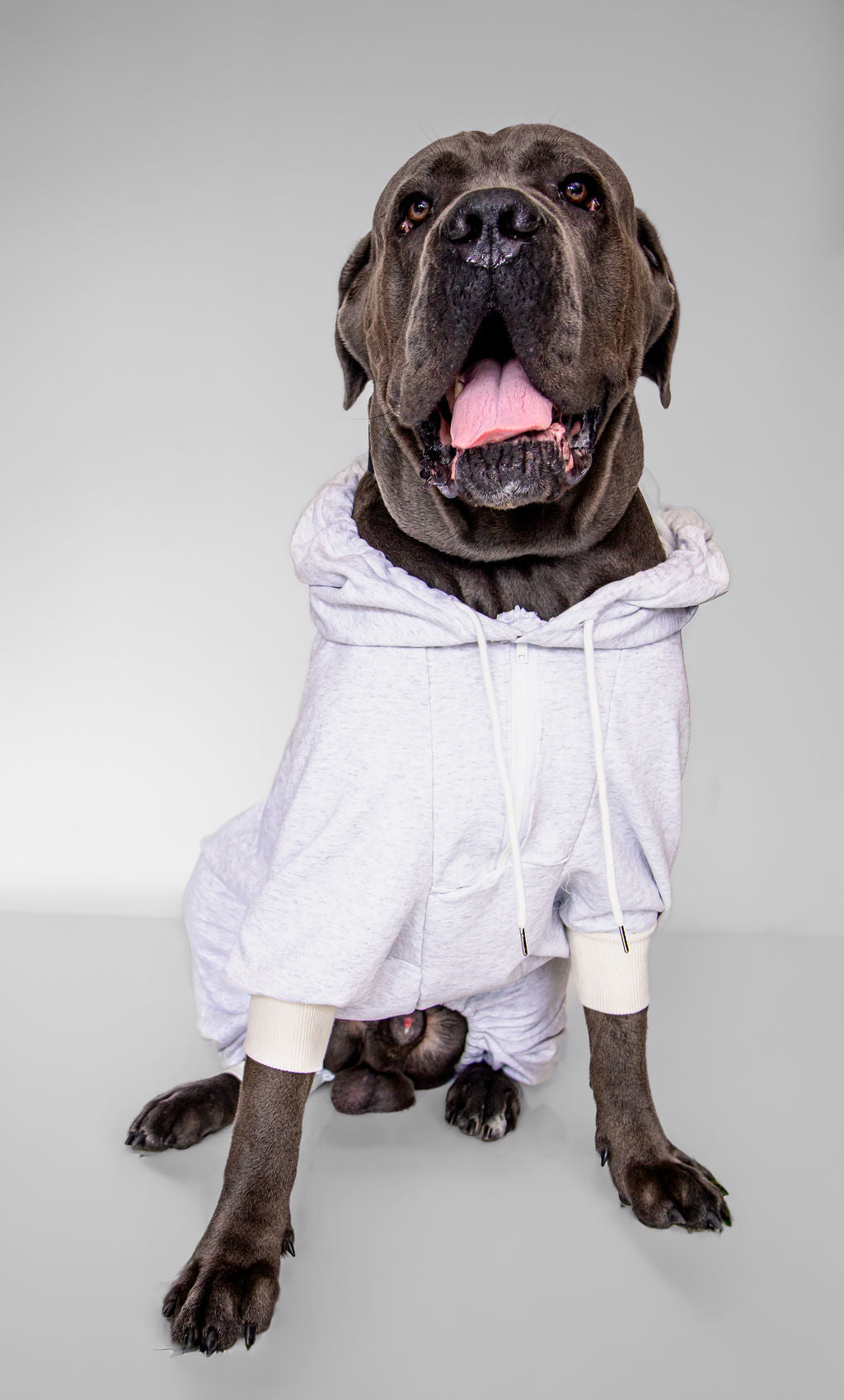 Printed hoodies funny