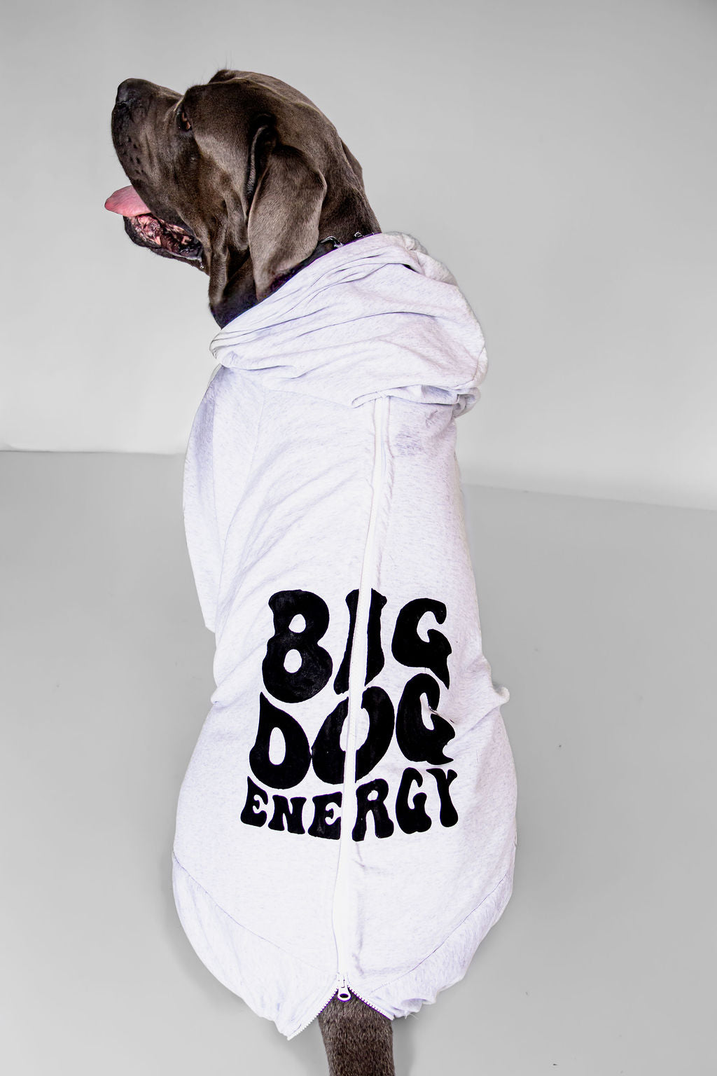 Printed hoodies funny