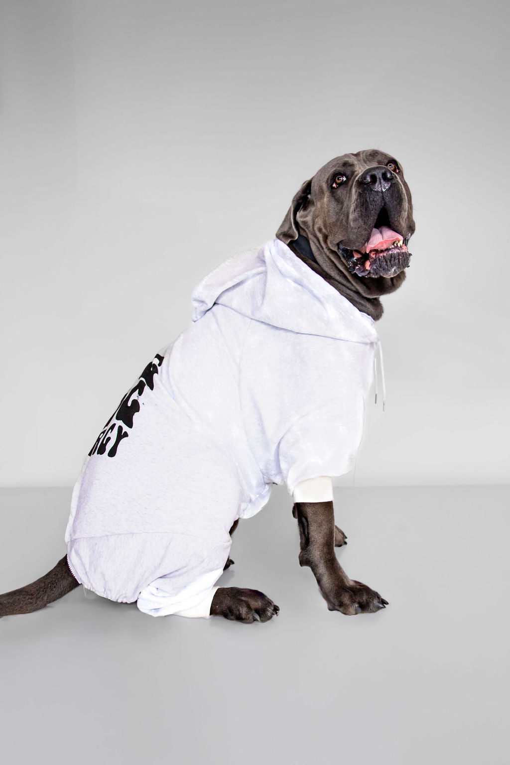 Printed hoodies funny