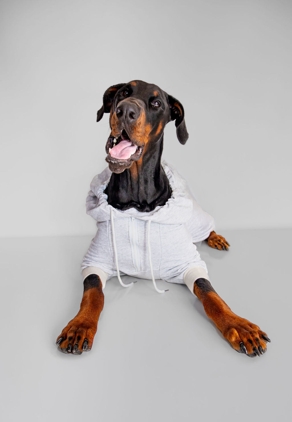 Printed hoodies funny