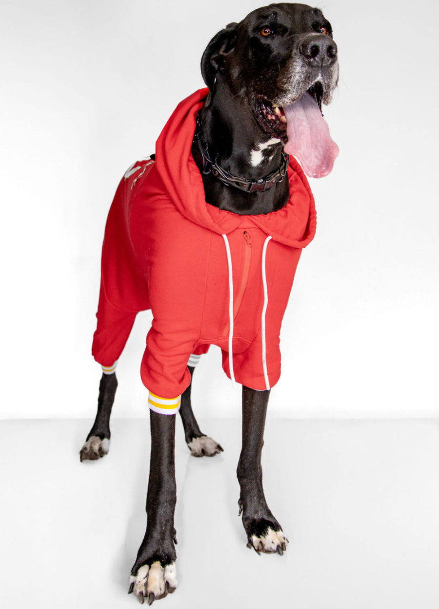 Customized Dog Hoodie