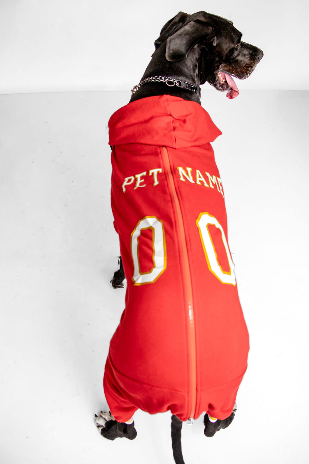 Customized Dog Hoodie