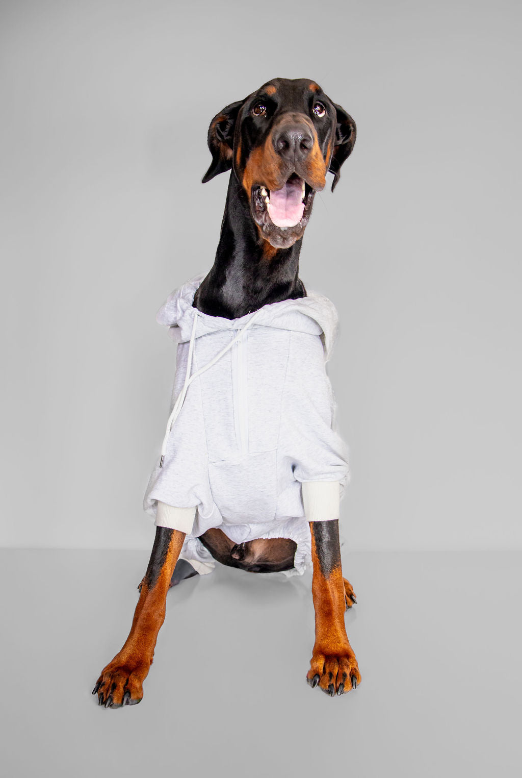 Printed hoodies funny