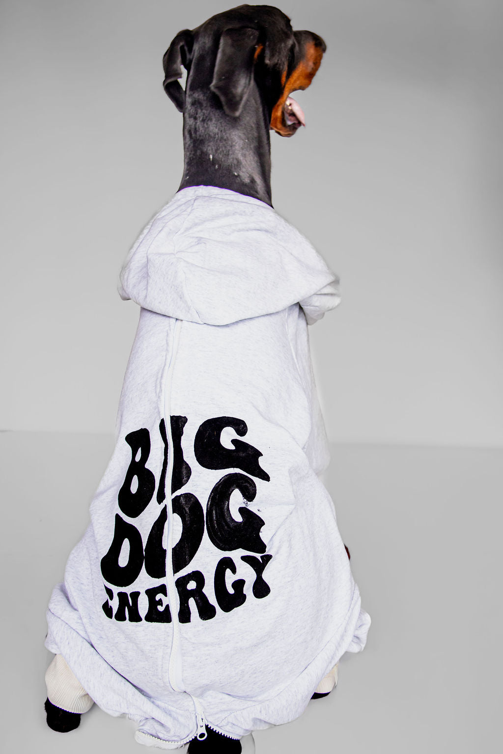 Printed hoodies funny