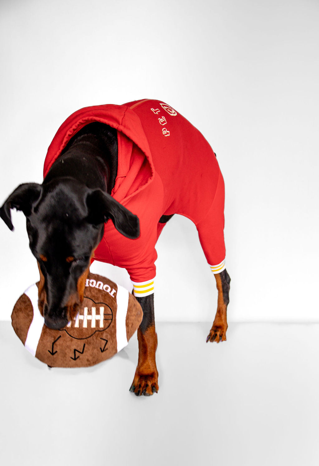 Customized Dog Hoodie