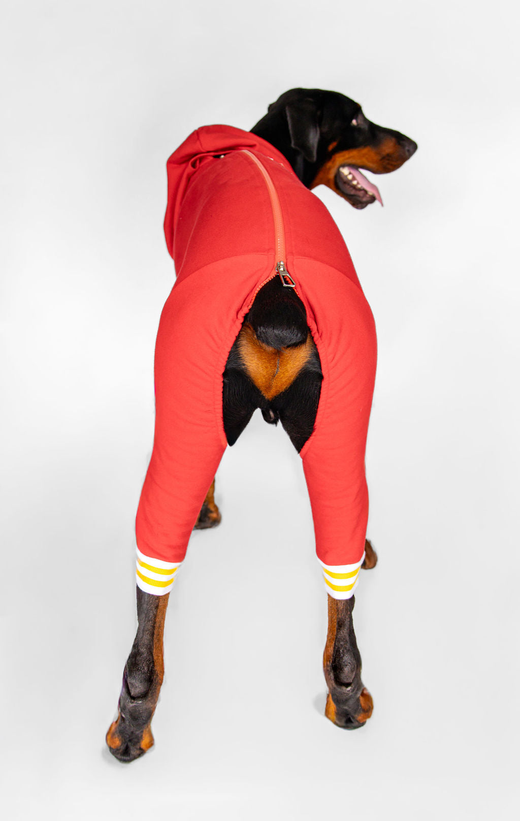 Customized Dog Hoodie