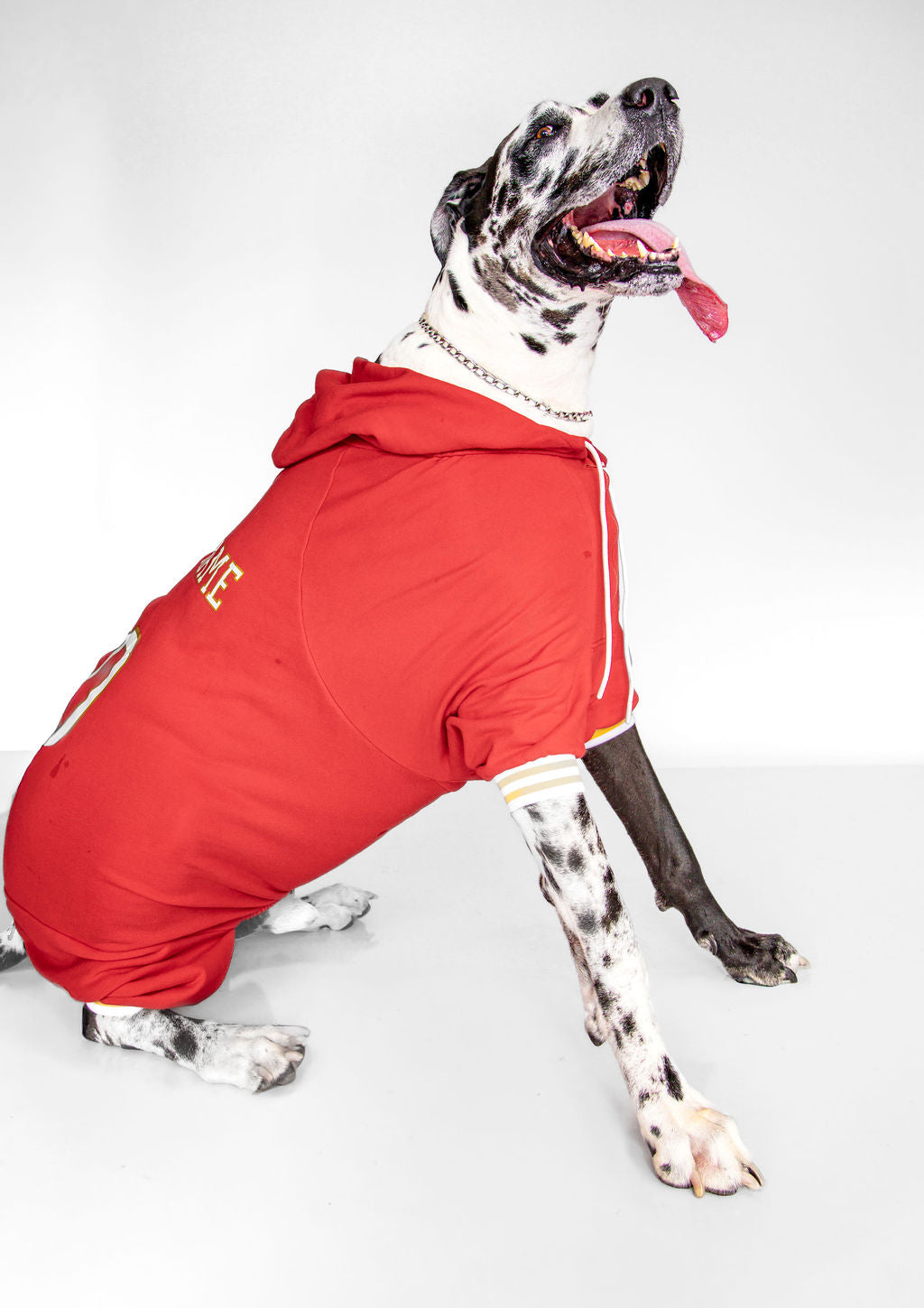 Customized Dog Hoodie