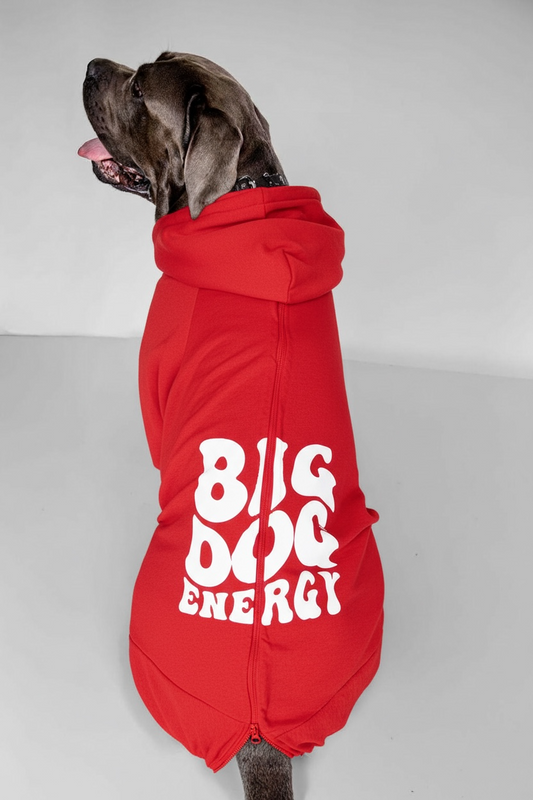 Printed hoodies funny