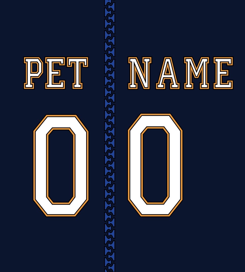 Customized Dog Hoodie