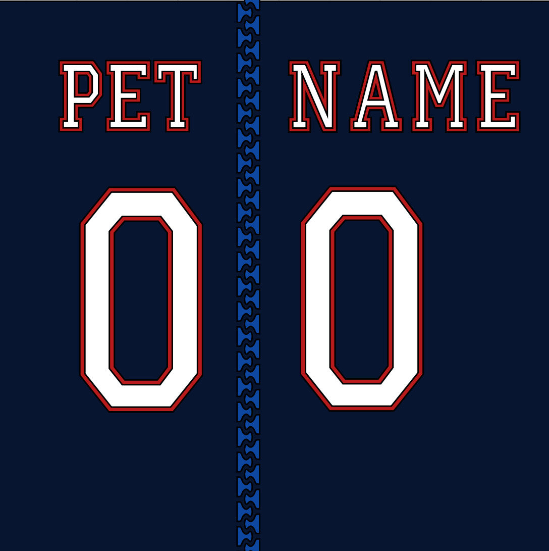 Customized Dog Hoodie