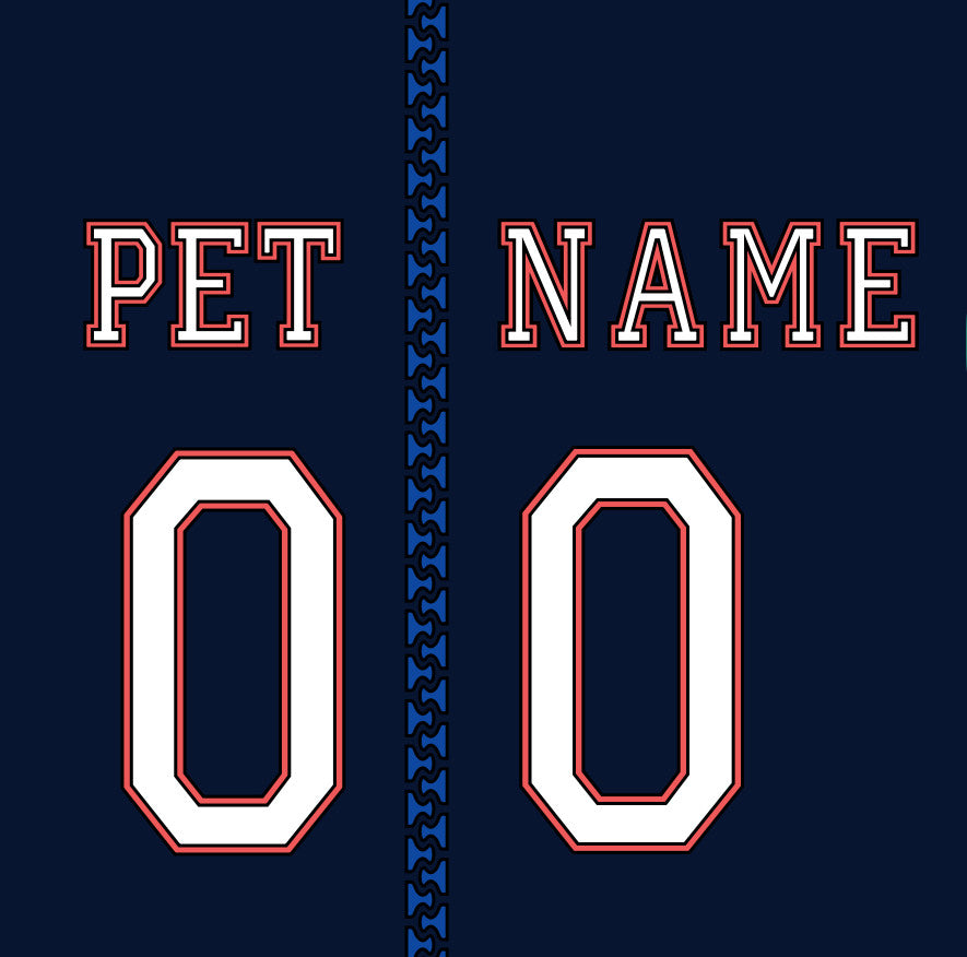 Customized Dog Hoodie