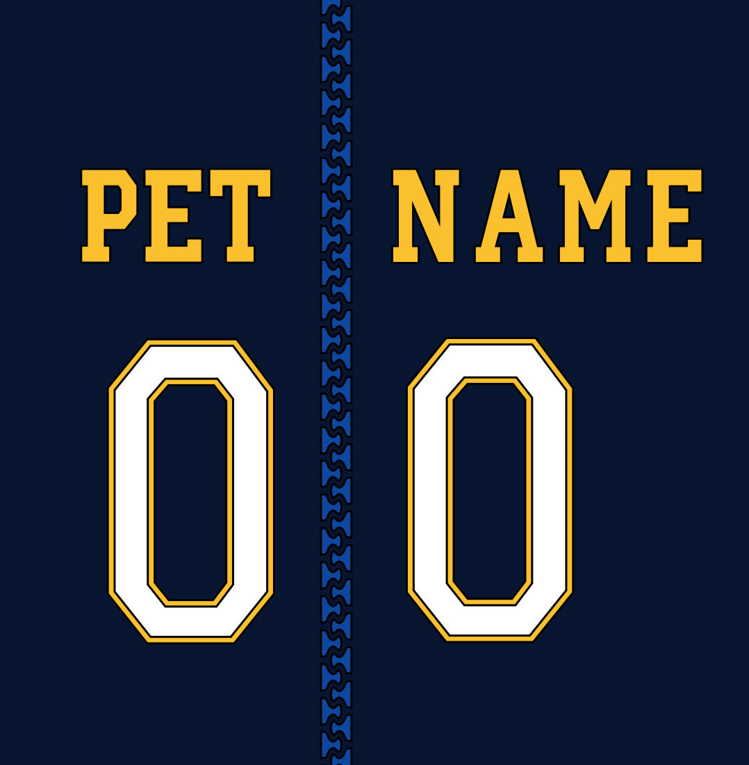 Customized Dog Hoodie