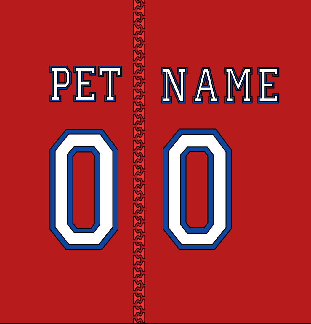 Customized Dog Hoodie