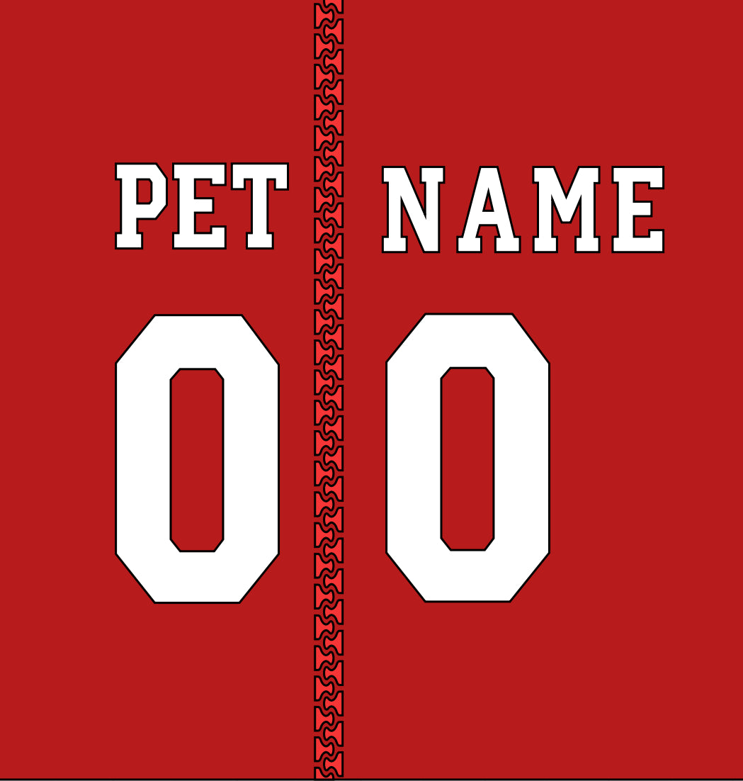 Customized Dog Hoodie