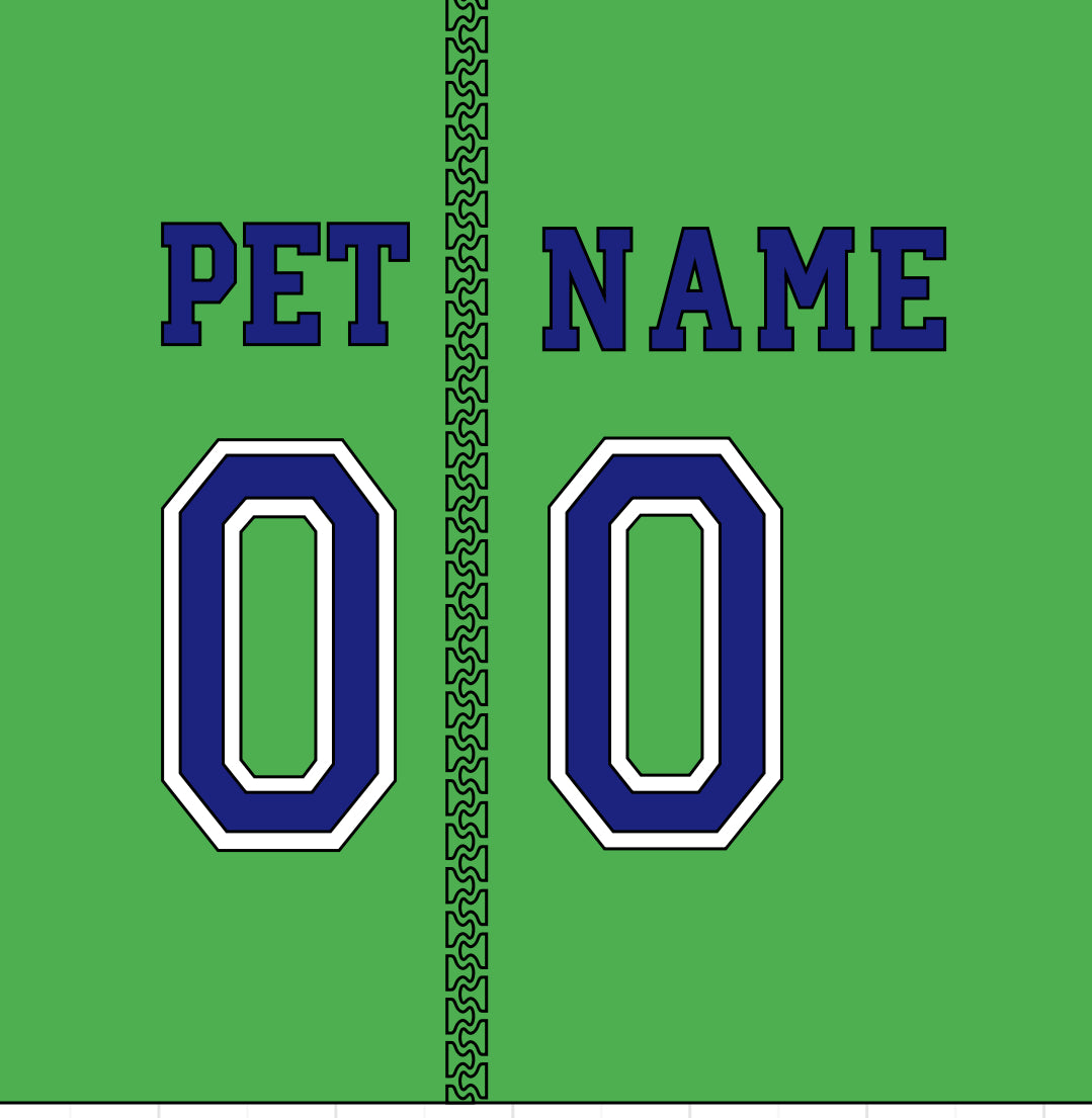 Customized Dog Hoodie