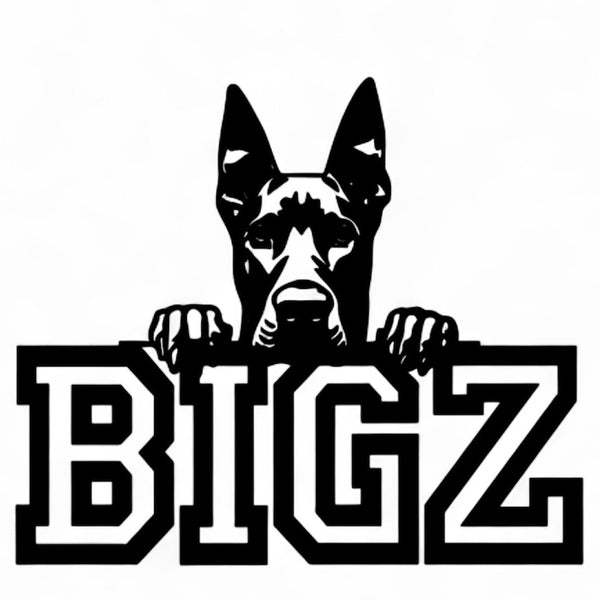 BIGZ